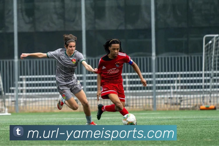 多媒体互动体验